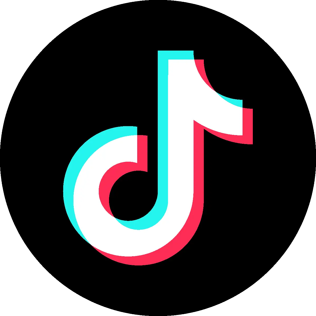 TikTok Icon - Smart Home Community auf TikTok